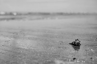 DSC_1475-2