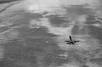 DSC_1503-2