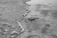 DSC_1510-2