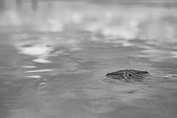 DSC_1514-2